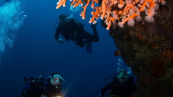 Bautizo de Buceo en Lanzarote