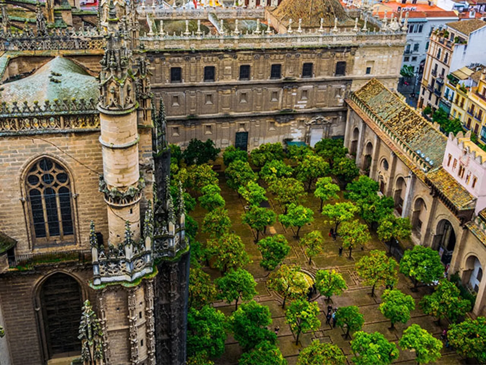 Vista aérea del Patio de los Naranjos en la Catedral de Sevilla - Patio de los Naranjos - Qué ver en Sevilla - Guía de viaje Sevilla - Buendía Tours