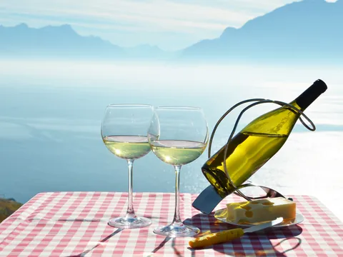 tour-riviera-suiza_excursion-desde-ginebra_viñedo-vino-degustacion-lavaux_buendia.jpg