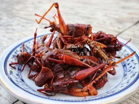 tour Gastronomico Cuidad México Chapulines Comida Tipica
