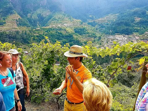excursión 4x4 Madeira Bodegas Cata Vino Skywalk Cabo Girao Funchal