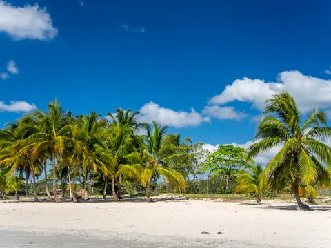 paisaje-playa-larga-cuba.jpg