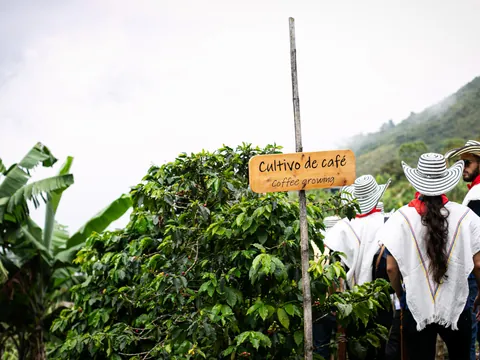 tour-finca-cafetera-antioquia.jpg