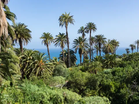 Ruta Secretos Tenerife Norte visita guiada excursión