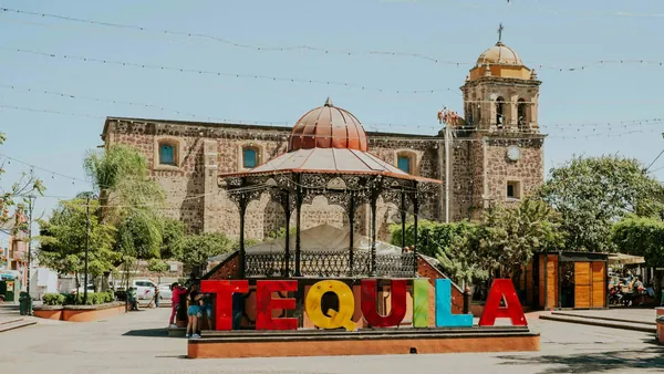 excursion-tequila-desde-guadalajara_1.jpg