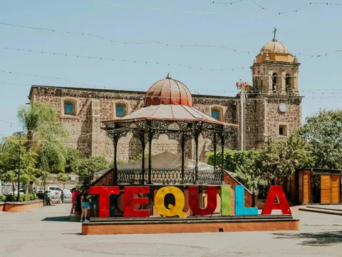 excursion-tequila-desde-guadalajara_1.jpg