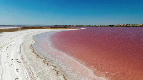 Agua Rosa Murcia