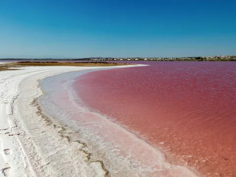 Agua Rosa Murcia