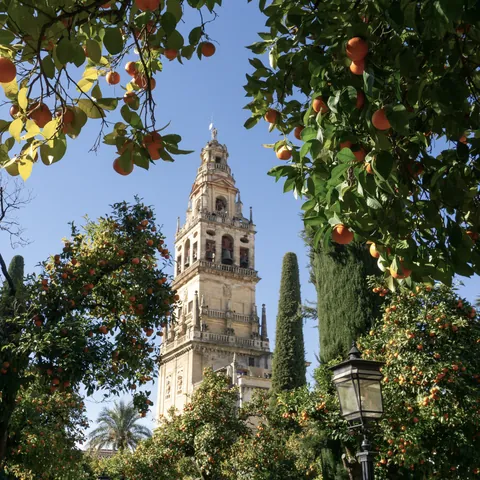 Imagen de los exteriores de la Mezquita-Catedral de Córdoba