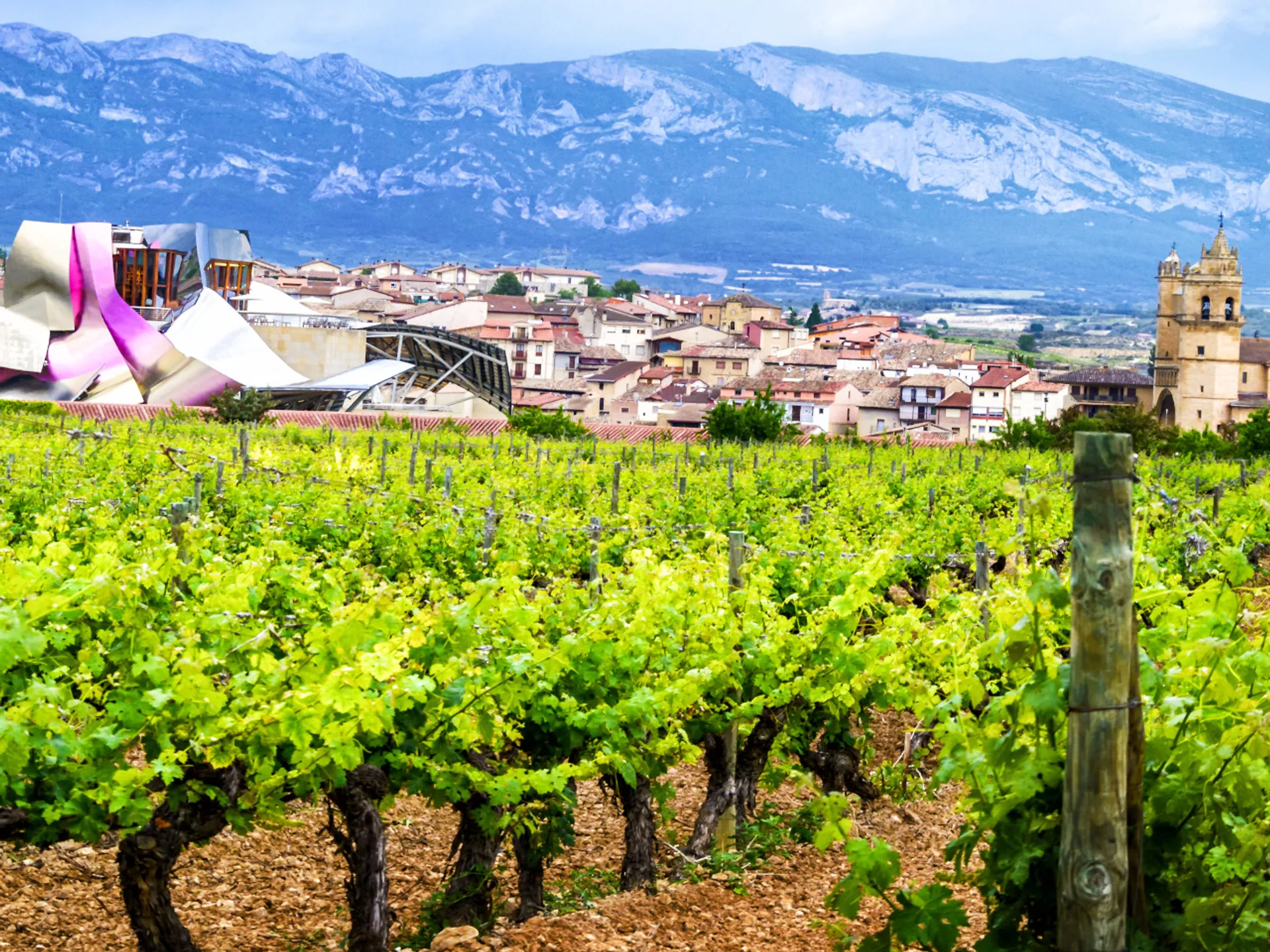 Vista Elciego en la Rioja Alavesa - Pueblos de la Rioja Alavesa - Qué ver en Bilbao - Guía de Viajes Bilbao - Buendía Tours