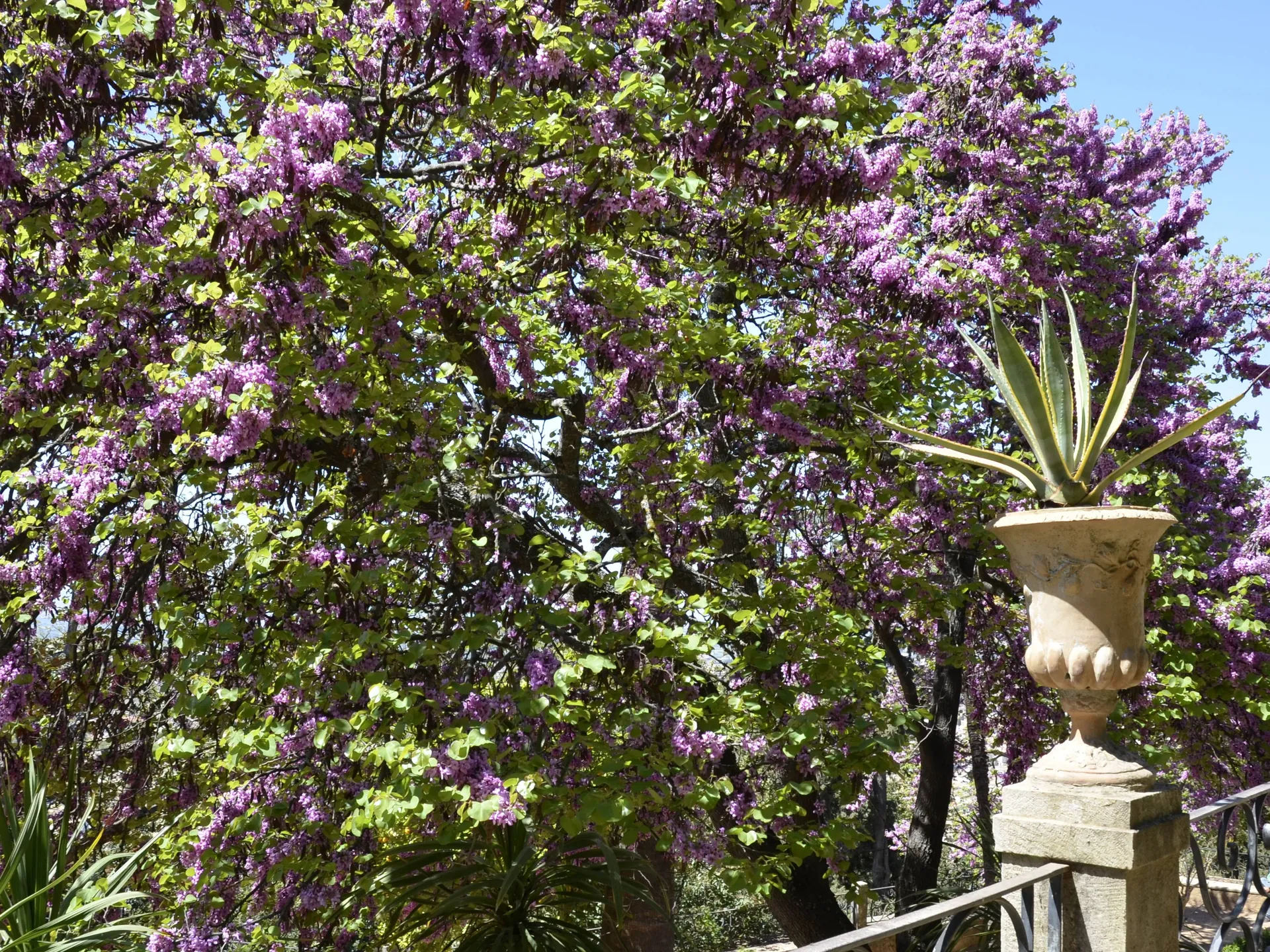 Carmen de los Mártires -  Granada con niños - Qué hacer en Granada - Guía de viaje Granada - Buendía Tours