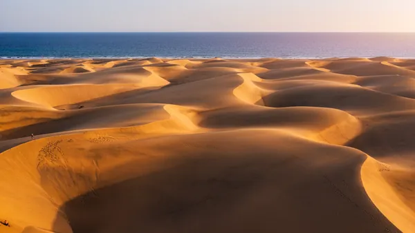 Reserva Natural Las Dunas de Maspalomas, una de las paradas de esta excursión por el suroeste de Gran Canaria.