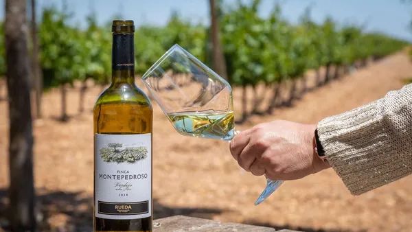 visita Cata Bodega Finca Montepedroso Valladolid Vino Viñedo Enoturismo Castilla León