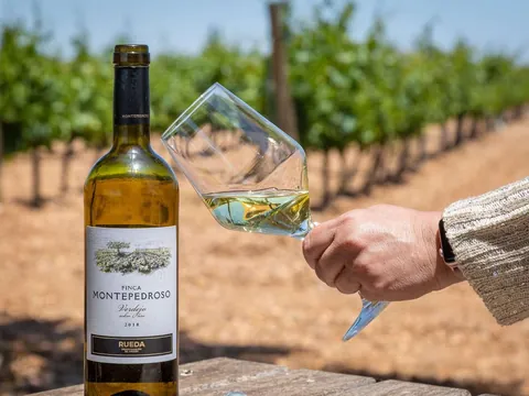 visita Cata Bodega Finca Montepedroso Valladolid Vino Viñedo Enoturismo Castilla León