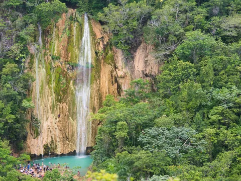 Avistamiento Ballenas Bahia Samana Punta Cana Cascada Limon excursión República Dominicana