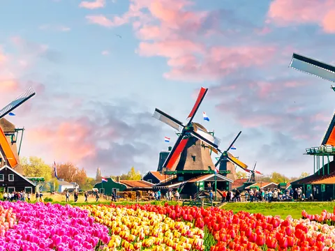 Excursión a los jardines de Keukenhof con traslado y guía desde Ámsterdam