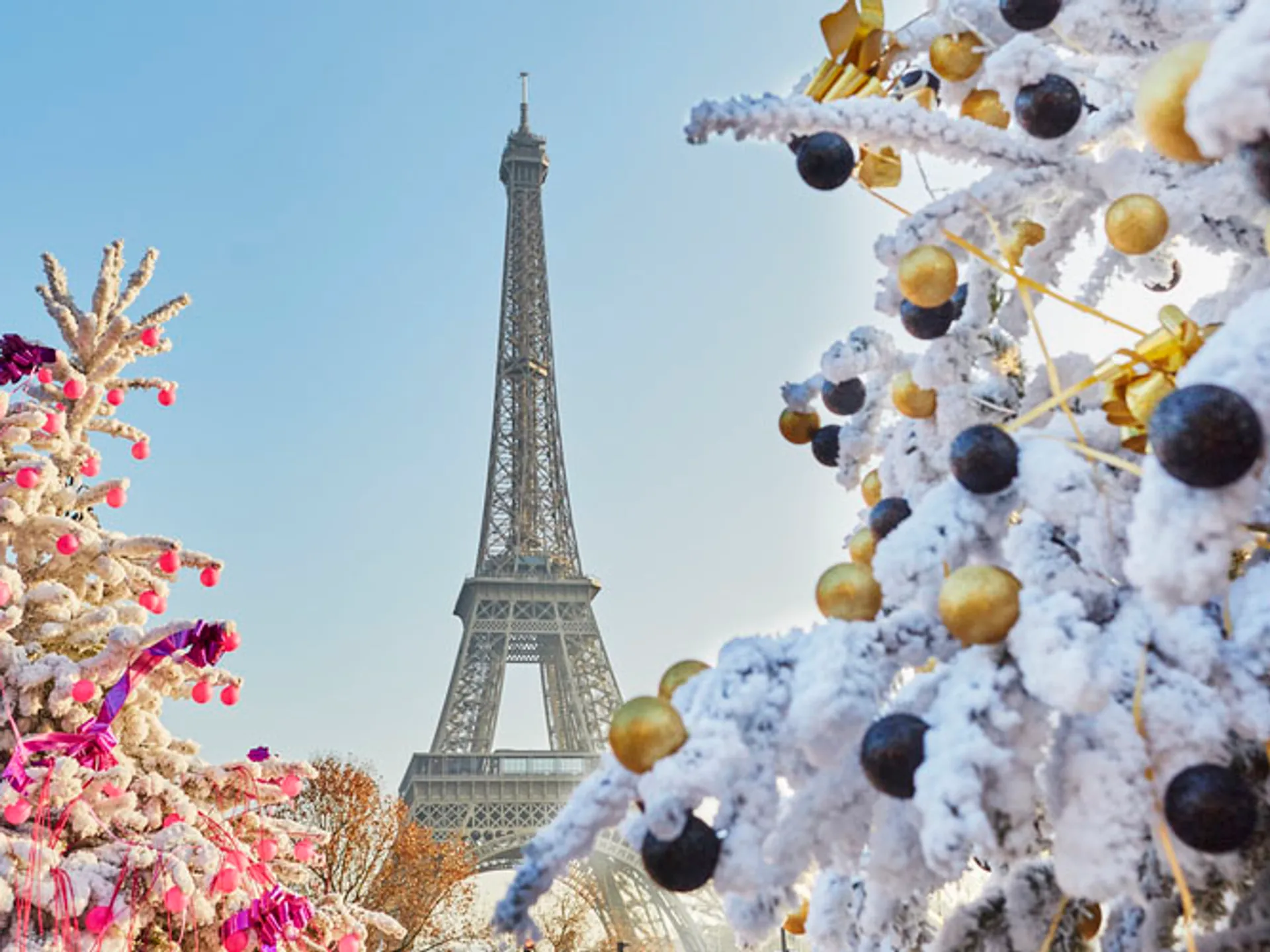 Arboles de Navidad y Torre Eiffel de fondo - Los mejores Mercadillos de Navidad en Europa 2022 - Blog - Buendía Tours 