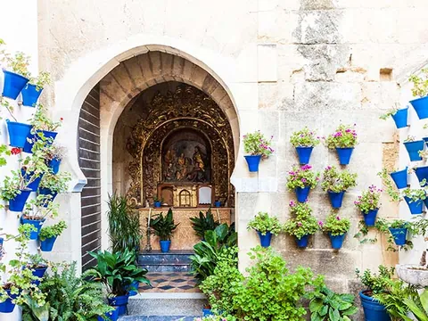 Patio Córdoba visita guiada Patios Córdoba