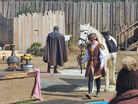 visitar Parque Tematico Puy Du Fou desde Madrid