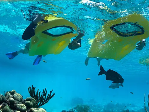 Alquiler de Glass Bottom snorkel en Costa Teguise