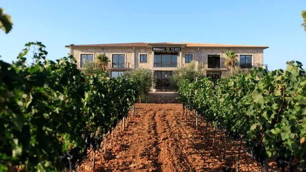 Cata de Vinos en Bodega Vi Rei Llucmayor Mallorca