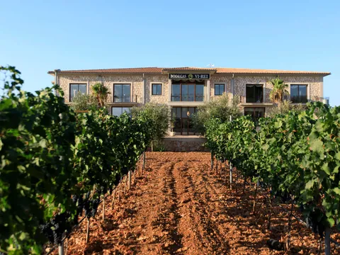 Cata de Vinos en Bodega Vi Rei Llucmayor Mallorca