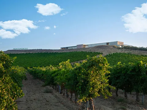 visita Cata Bodega Finca Montepedroso Valladolid Vino Viñedo Enoturismo Castilla León
