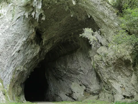 Entrada amplia de la cueva Cullalvera rodeada de roca y vegetación en un entorno natural