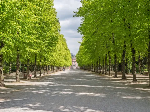 El Hofgarten es el mayor parque urbano de la ciudad.
