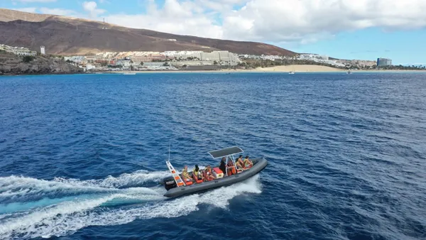 Avistamiento Delfines Fuerteventura Morro Jable Paseio barco Canarias