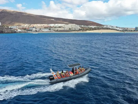 Avistamiento Delfines Fuerteventura Morro Jable Paseio barco Canarias