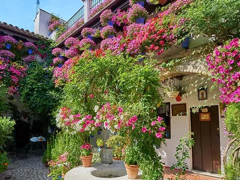 Patio Cordobes visita guiada Patios Córdoba