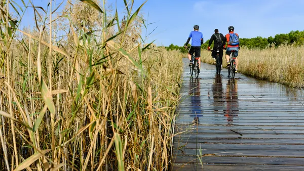 tour-bici-albufera.png