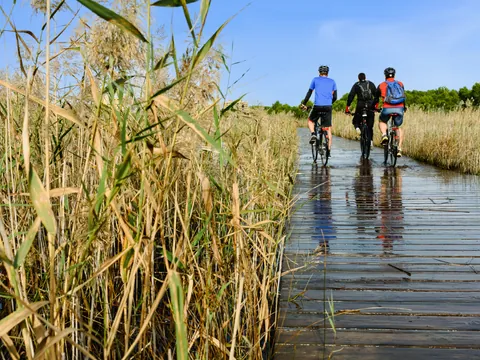 tour-bici-albufera.png
