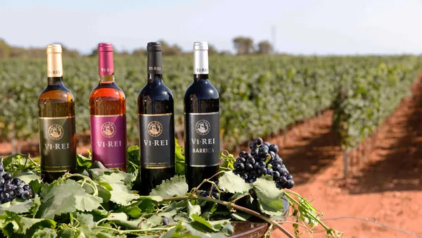 Cata de Vinos en Bodega Vi Rei Llucmayor Mallorca