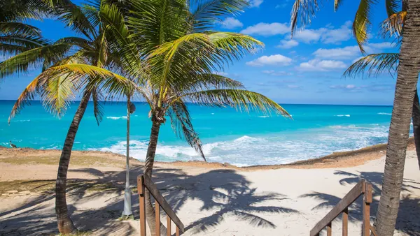 palmeras-varadero.jpg