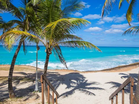 palmeras-varadero.jpg