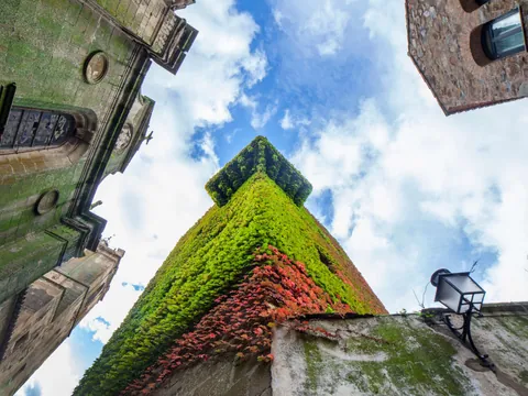 visita guiada Cáceres Completa Degustacion entradas Monumentos Extremadura