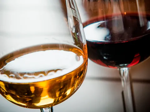 visita Bodega Verderrubi Cata Aperitivo Valladolid Viñedo Enoturismo Vinos Castilla León