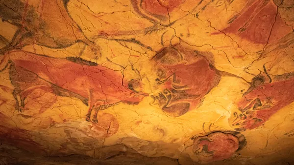 Pinturas rupestres de bisontes en la Cueva de Altamira, Cantabria.
