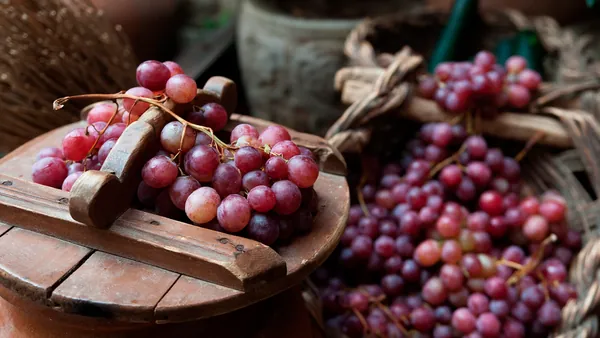 visita Bodegas Pago Larrainzar Viñedo Cata Vinos Pamplona Navarra