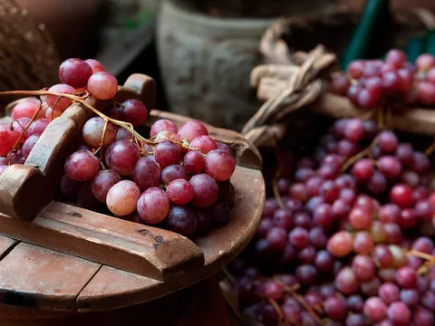 visita Bodegas Pago Larrainzar Viñedo Cata Vinos Pamplona Navarra