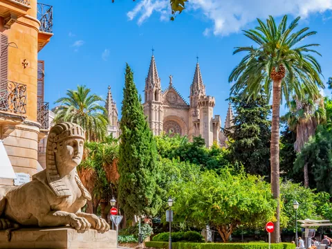 Centro de Palma, con la catedral al fondo y palmeras que le dan un toque tropical a la ciudad.