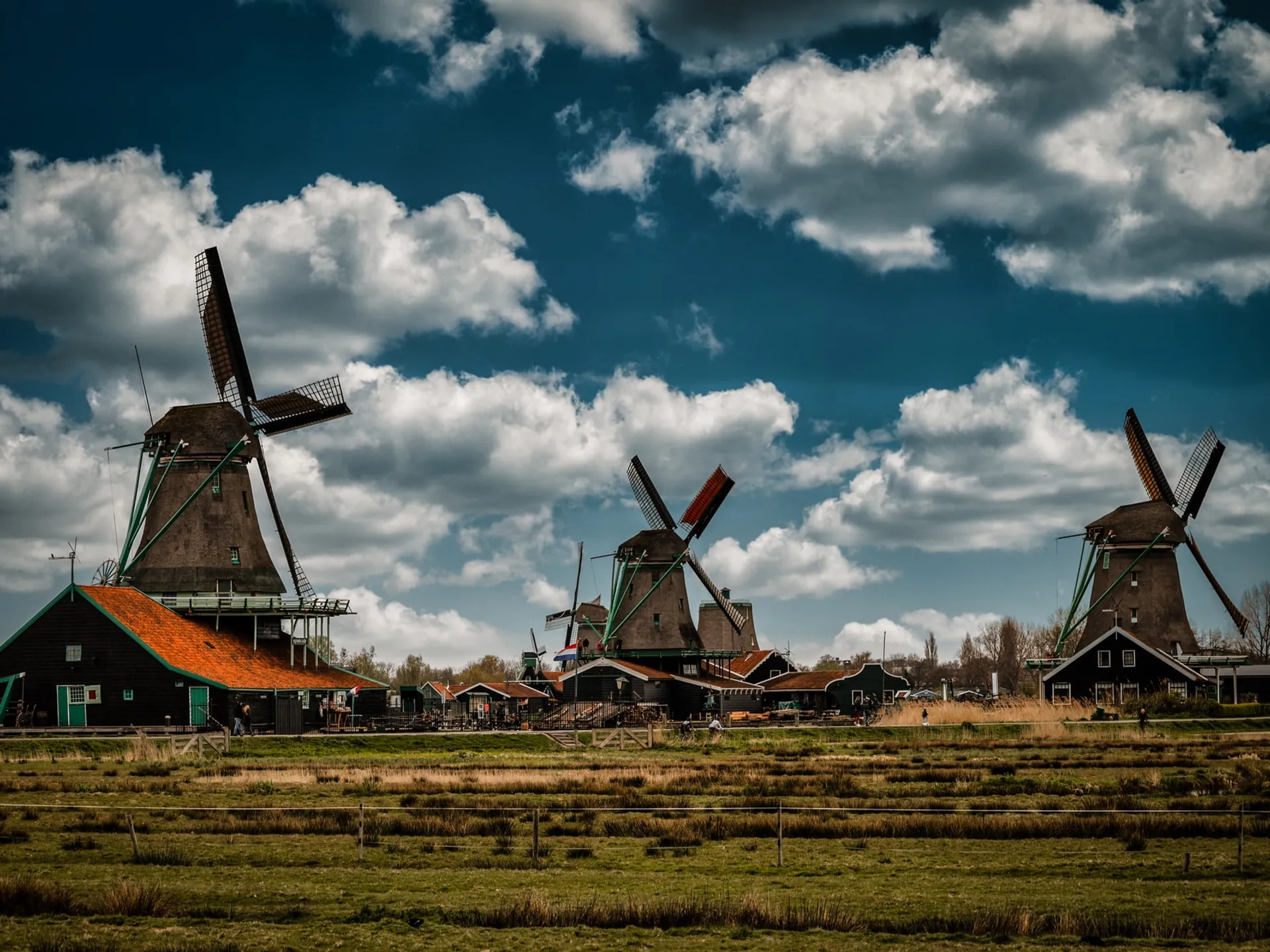 Zaanse Schans - Los molinos de Holanda - Guía de viaje de Ámsterdam - Buendía Tours
