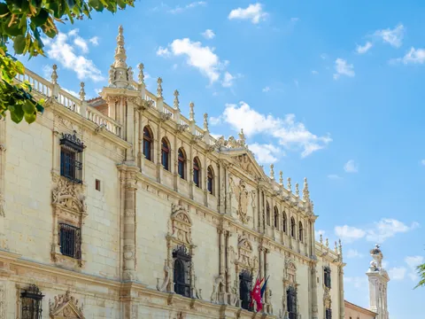 free tour Alcala Henares visita guiada Comuniad Dadris