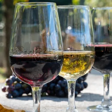 Copas de vino - Las mejores Bodegas de Oporto - Blog - Buendía Tours