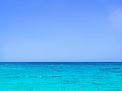 Un día en el mar a bordo de un catamarán con almuerzo incluido en Valencia