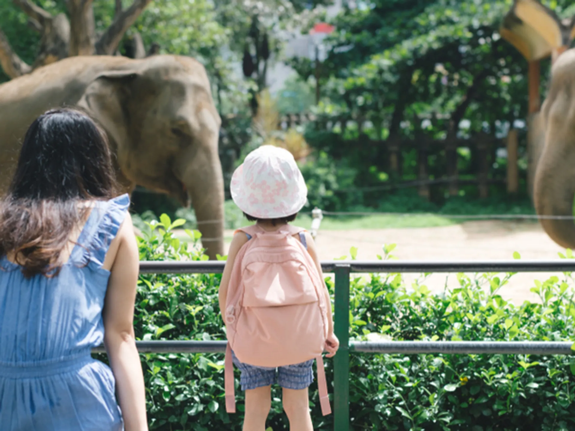 zoo lisboa buendia tours