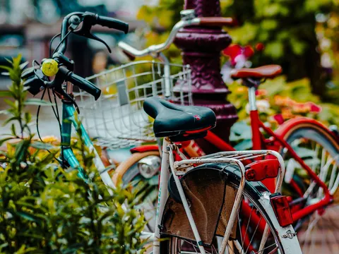 Bicicletas aparcadas entre flores en una calle de Ámsterdam