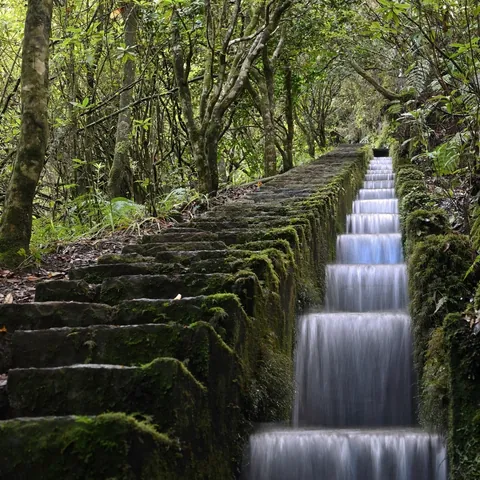 Levadas de Madeira, Portugal
